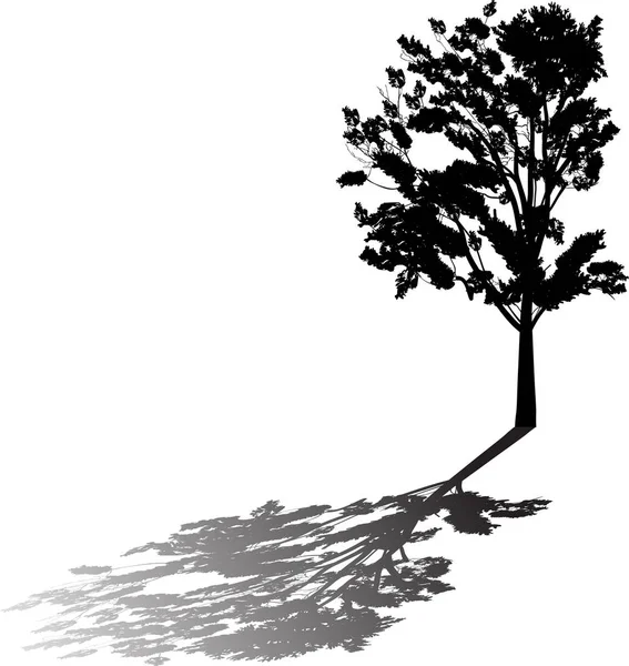 Illüstrasyon Izole Beyaz Zemin Üzerine Yansıması Ile Yapraklı Ağaç — Stok Vektör