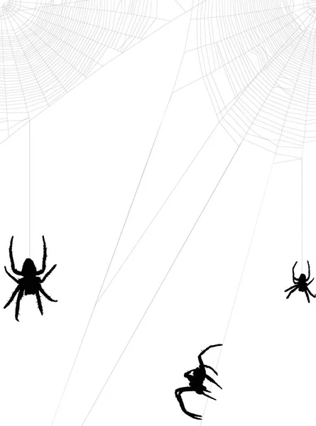 白い背景にクモの巣が描かれたイラスト — ストックベクタ