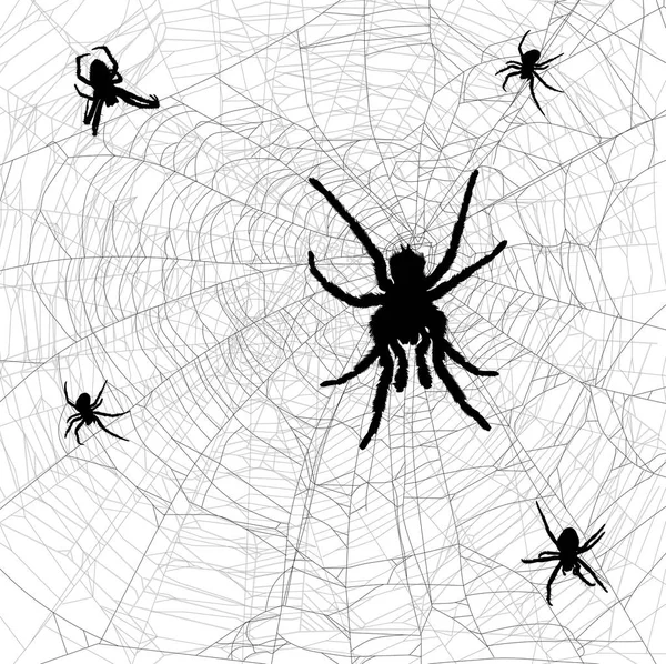 Beyaz Arkaplanda Izole Edilmiş Örümcek Ağlı Illüstrasyon — Stok Vektör