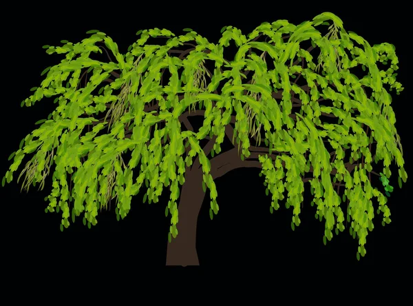 在黑色背景上隔离的单个绿色树的插图 — 图库矢量图片