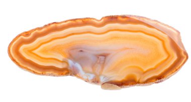 beyaz izole açık turuncu akik