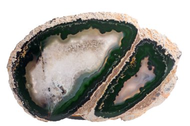 dark green agate section isolated on white