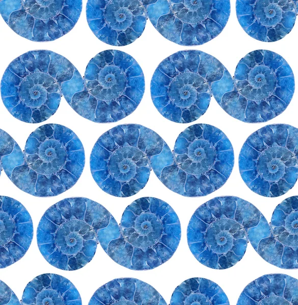 Безшовний фон з блакитних амонітів — стокове фото