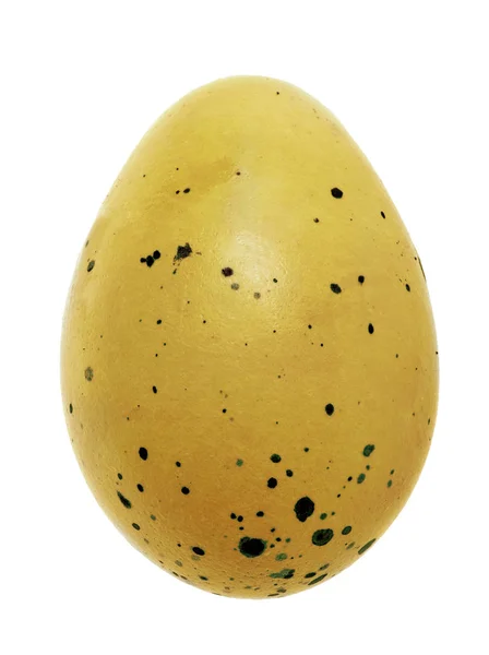 Single golden spotted egg isolated on white — Stock Photo, Image