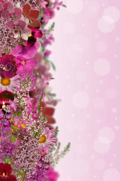 Червона кольорова смуга з квітів — стокове фото