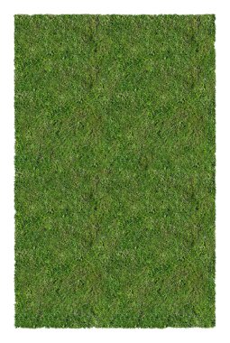 koyu yeşil çimen izole halı