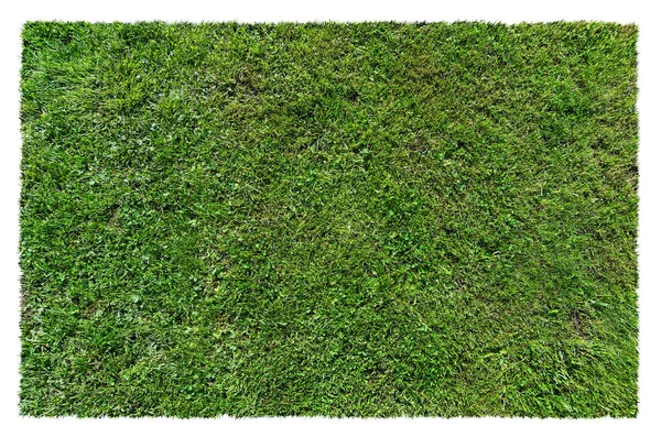 Tmavě zelený travní koberec — Stock fotografie