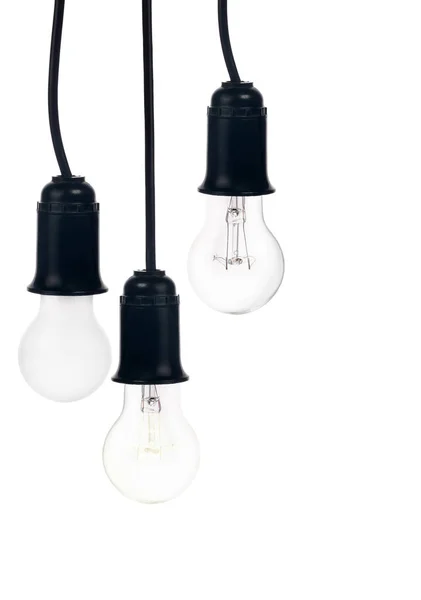 Tree hanging electric lamps in receptacle on white — Stock Photo, Image