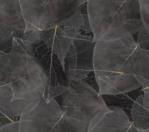 Dark grey leaves seamless background — Stock Photo, Image