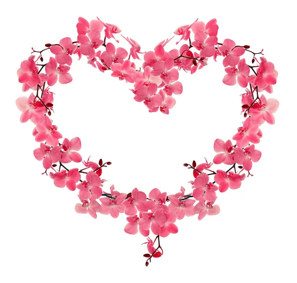 Herzförmiger Rahmen aus roten Orchideenblüten — Stockfoto