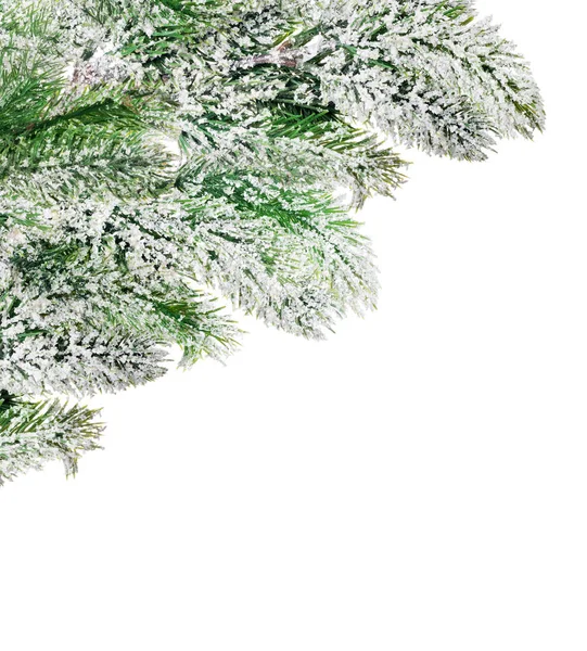 Corner from green pine tree branches in snow — Stock Photo, Image