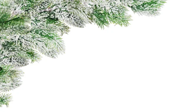 Róg z zielonych gałęzi sosny w śniegu — Zdjęcie stockowe