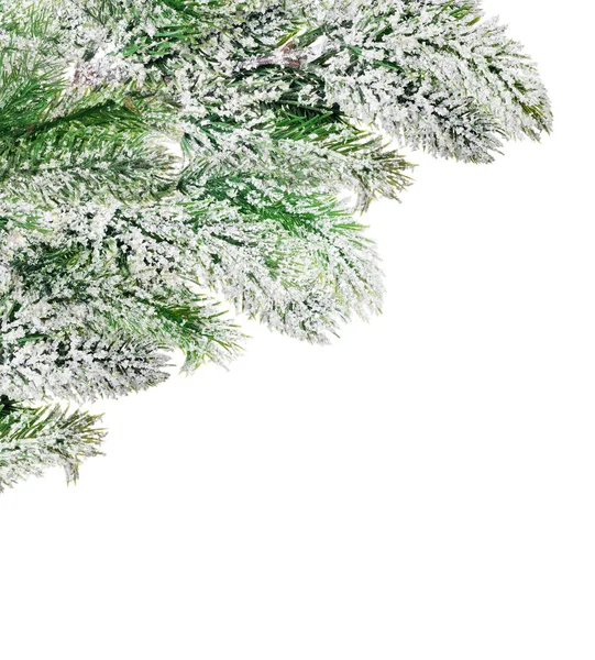 Ecke aus grünen Kiefernzweigen im Schnee — Stockfoto