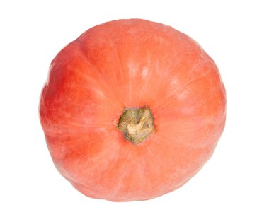 Bir kırmızı balkabağı