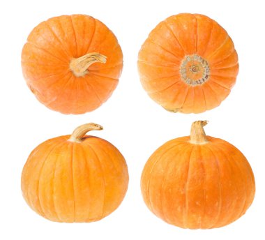 Beyaz üzerine dört küçük sarı balkabağı