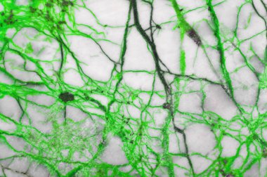 yeşil ve beyaz taş arkaplan yakın plan