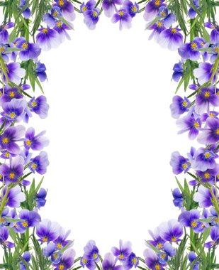 Beyaz üzerindeki leylak renkli nonoş çiçeklerinden yapılmış çerçeve