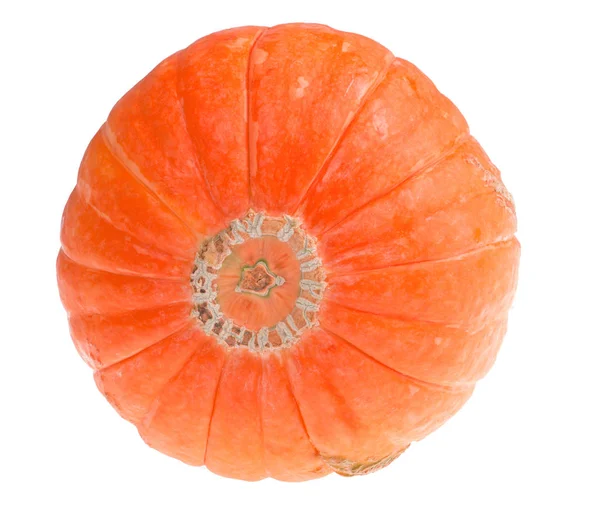 Маленькая оранжевая тыква на белом — стоковое фото