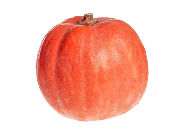 Calabaza roja aislada en blanco —  Fotos de Stock