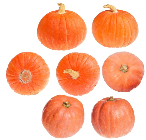 Zeven kleine oranje pompoenen op wit — Stockfoto