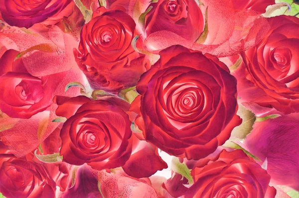 Темно-красные розы фон — стоковое фото