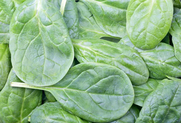 Spinach green leaves background — Stock Photo, Image