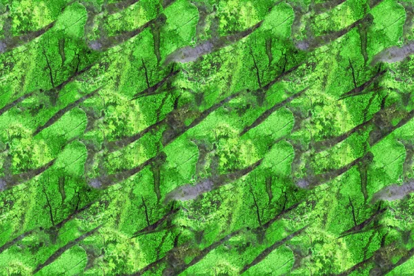 Green jasper seamless texture macro — Stock Photo, Image