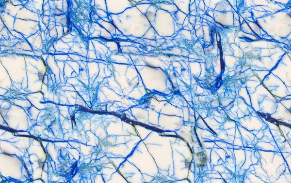 Detailní záběr modré a bílé kámen bezešvé textury — Stock fotografie