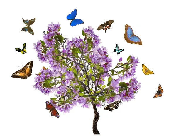 Apple tree with large lilac blooms and butterflies — Stock Photo, Image