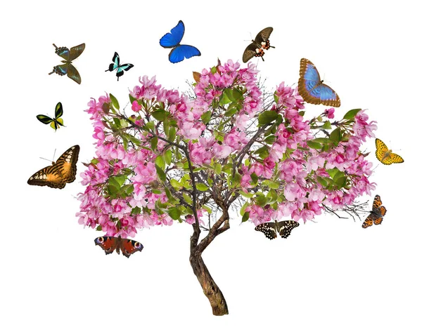 Drzewo z dużymi różowymi kwiatami i motylami — Zdjęcie stockowe