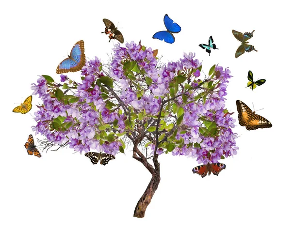 Árvore com grandes flores lilás e borboletas — Fotografia de Stock