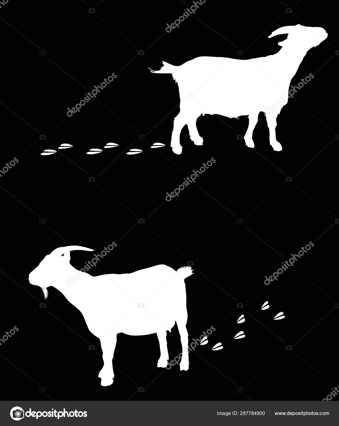 2 つのヤギストックベクター ロイヤリティフリー2 つのヤギイラスト Depositphotos