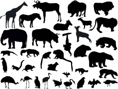 münzevi hayvanlar ve kuşlar siyah siluetler