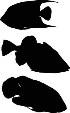 Beyaz üzerine üç siyah balık grubu.