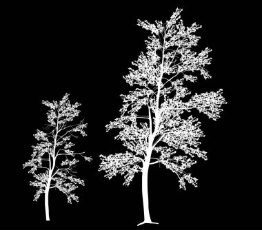  Küçük ikisi soyutlanmış ağaç beyaz siluetleri.