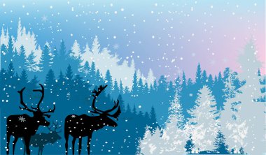 Mavi kış ormanlarında kar altında üç geyik