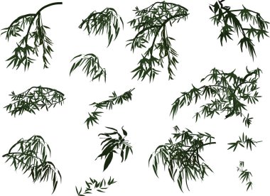 izole edilmiş koyu bambu bitki dalları koleksiyonu