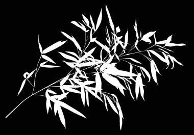 Siyah üzerine yemyeşil beyaz bambu dalı.