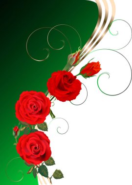 yeşil ve beyaz arkaplanda üç kırmızı gül çiçeği