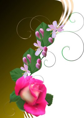 Sarı ve beyaz arkaplanda pembe gül çiçeği