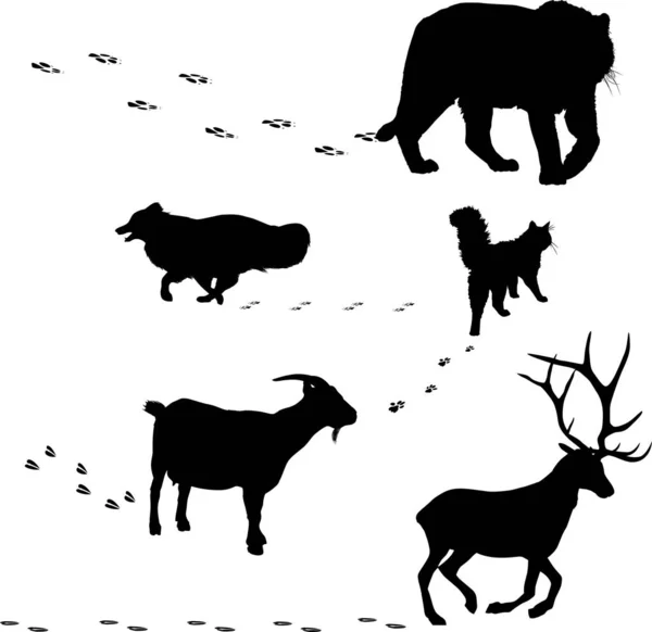 Five animals silhouettes and tracks on white — Stock Vector