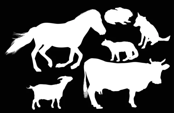 Collection de six animaux de ferme blancs — Image vectorielle