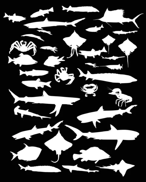 Large set of fish silhouettes isolated on black — Stock Vector