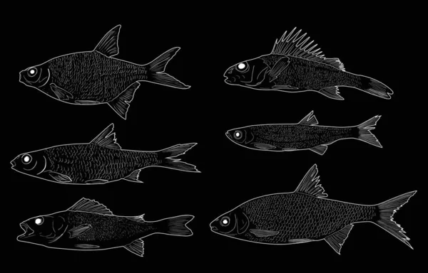 Set of six freshwater fishes on black — Stock Vector