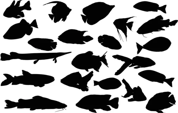 Set of twenty two fish silhouettes isolated on white — Stock Vector