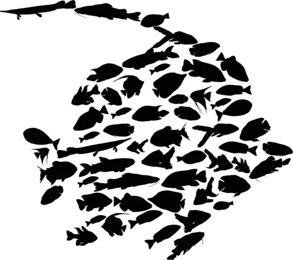 Silhouette complexe de poissons tropicaux noirs — Image vectorielle