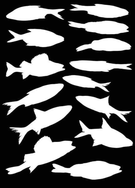 Set of fourteen freshwater fish silhouettes on black — Stock Vector