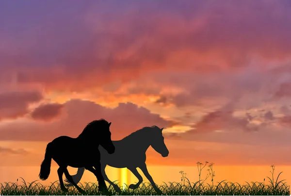 Dua kuda berlari di latar belakang matahari terbenam - Stok Vektor