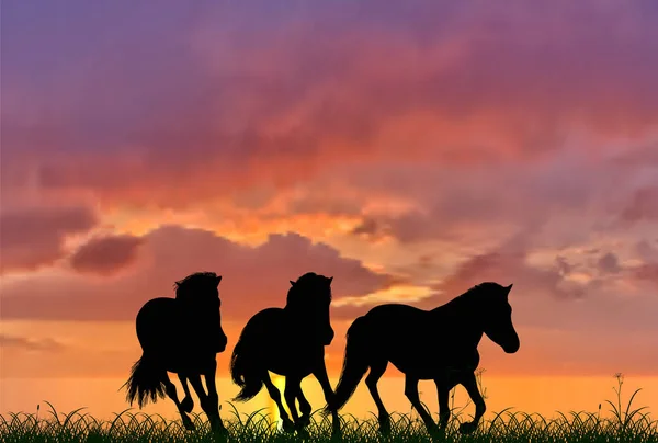 Τρία άλογα που τρέχουν στο φόντο ηλιοβασίλεμα — Διανυσματικό Αρχείο
