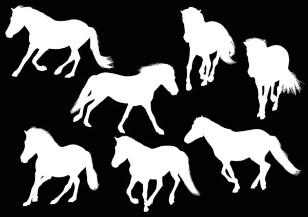 Tujuh kuda putih berlari di atas hitam - Stok Vektor